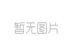 立鎂家樹脂水洗石